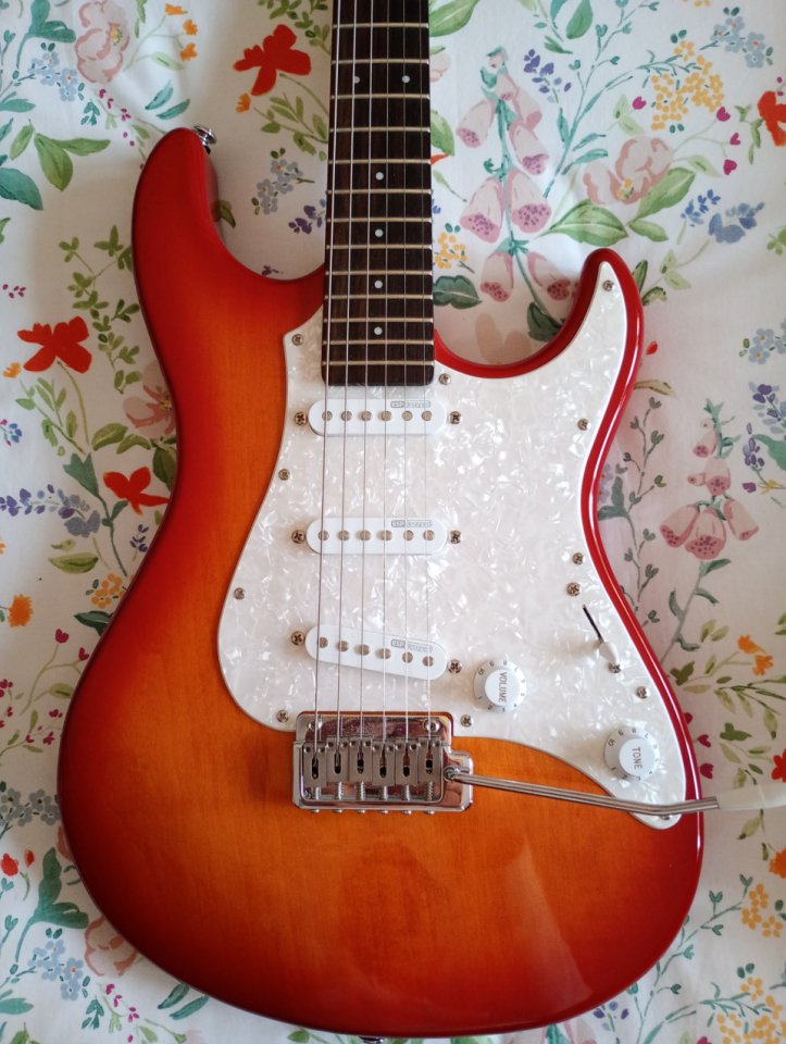 Esp ltd sn200 strat de segunda mano · Foto 3 de 6 · Zaragoza · 300 €