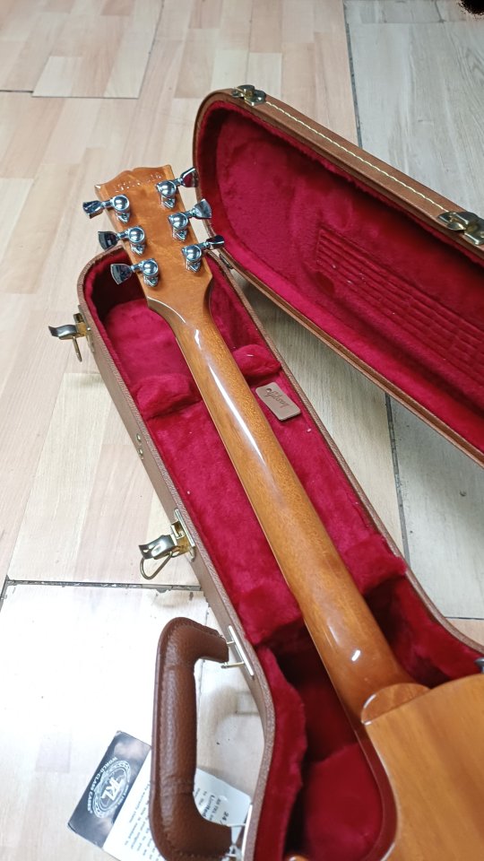 Gibson les paul standard