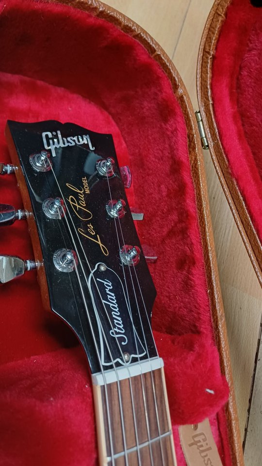 Gibson les paul standard