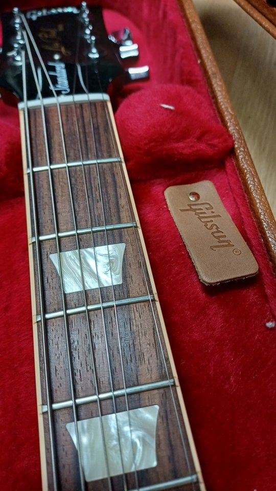 Gibson les paul standard