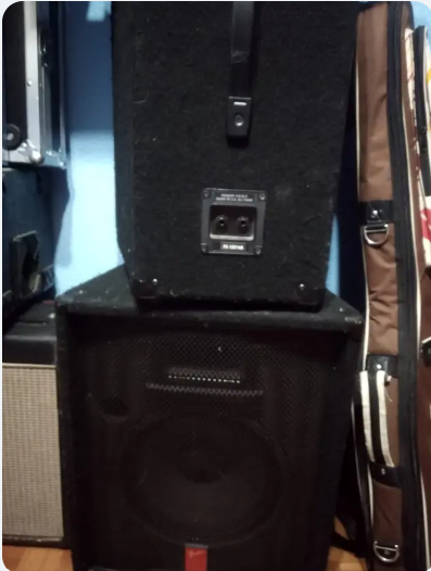 juego de voces laney + altavoces