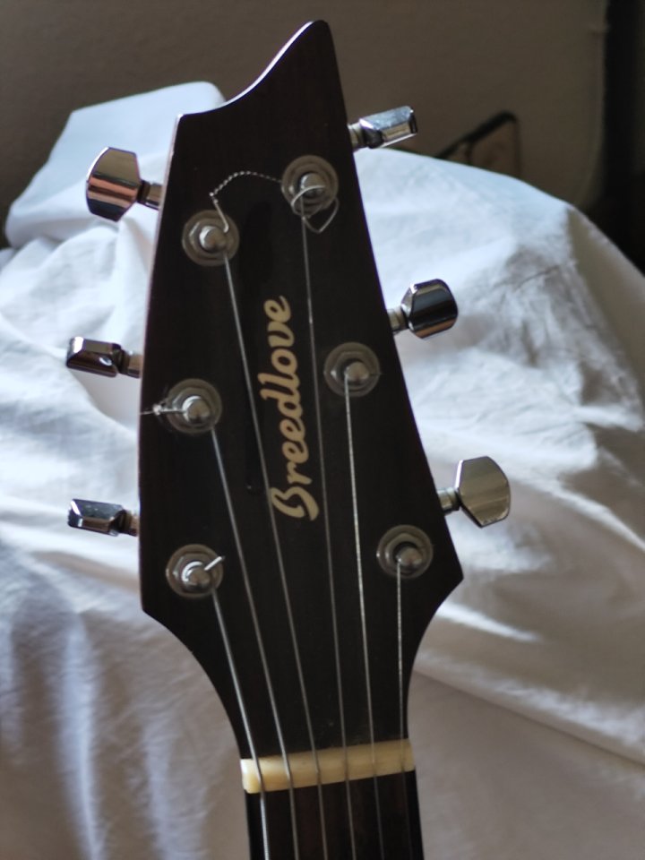 Breedlove pursuit de segunda mano · Foto 3 de 5 · Barcelona · 400 €