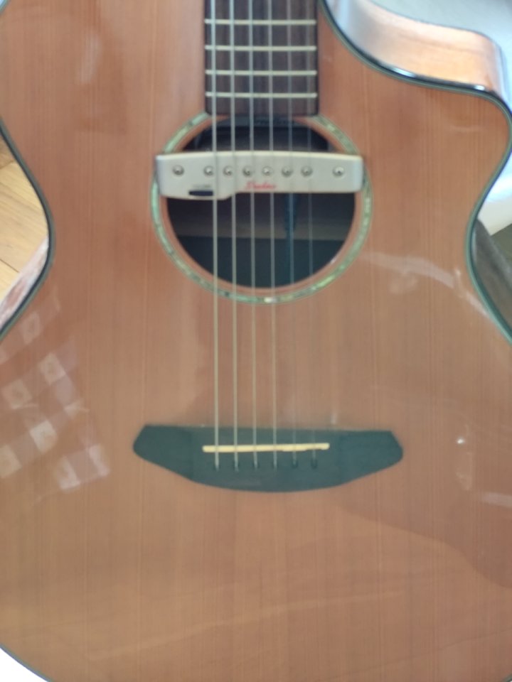 Breedlove pursuit de segunda mano · Foto 1 de 5 · Barcelona · 400 €