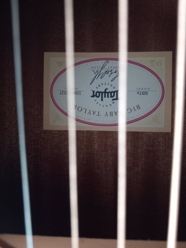 Taylor BBTE walnut electroacustica