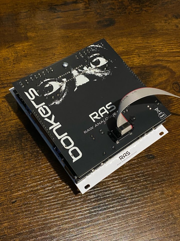 RAS Bonkers Analog Distortion Module de segunda mano · Foto 5 de 5 · Valencia · 390 €