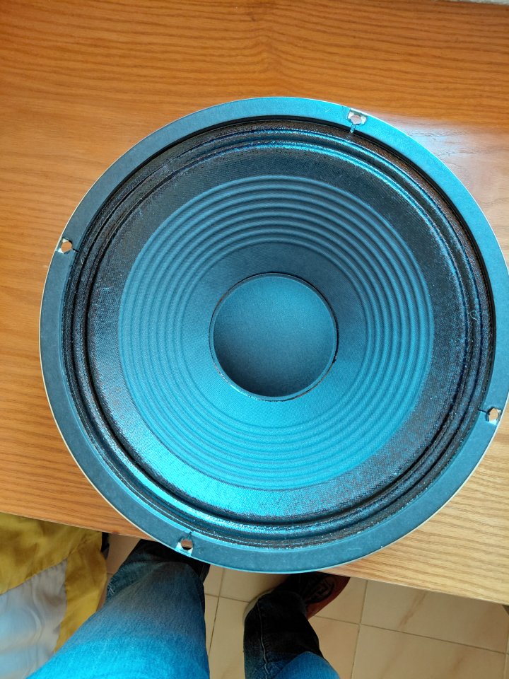 Celestion Seventy 80  16 ohmios