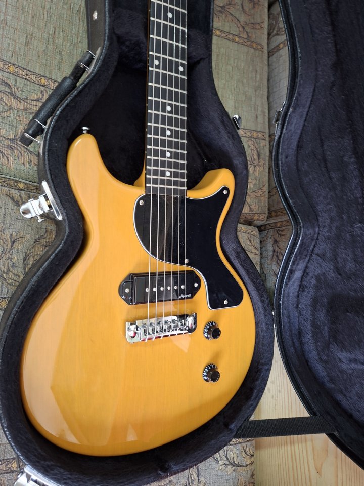 Harley benton DC de segunda mano · Foto 1 de 5 · Almería · 250 €