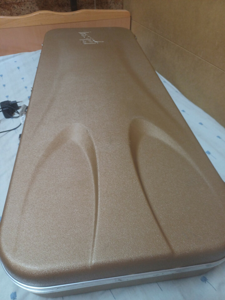 Gibson les paul standard