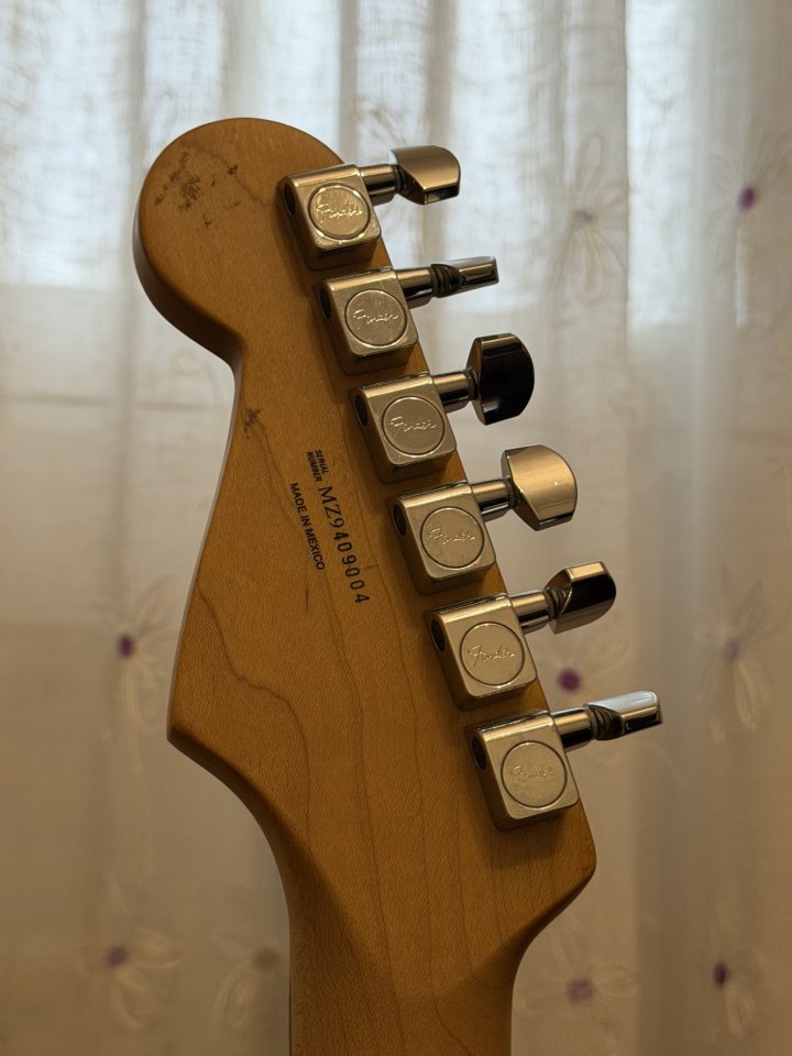 Guitarra eléctrica Fender Stratocaster (Mex) - STD STC RW BV