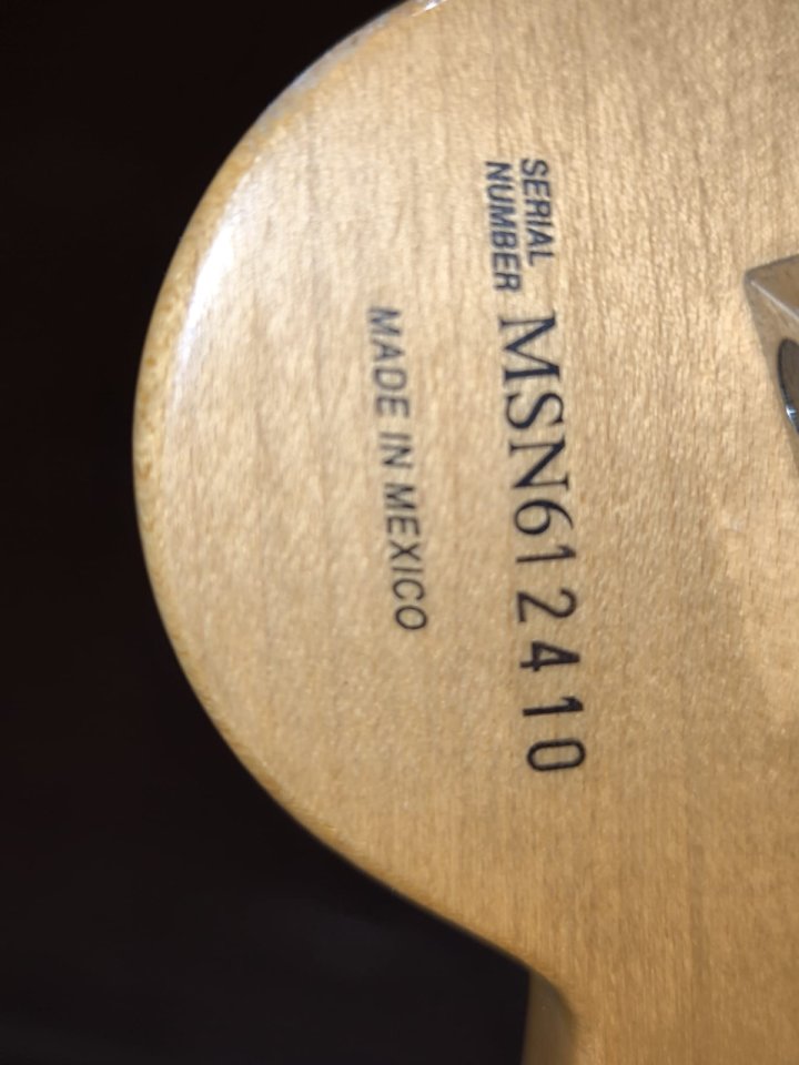 Fender Stratocaster Richie Sambora México 2001