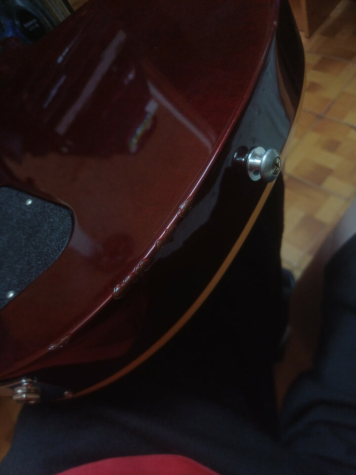 Gibson les paul standard