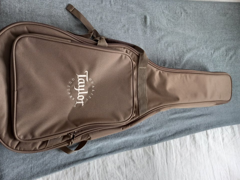 Taylor BBTE walnut electroacustica