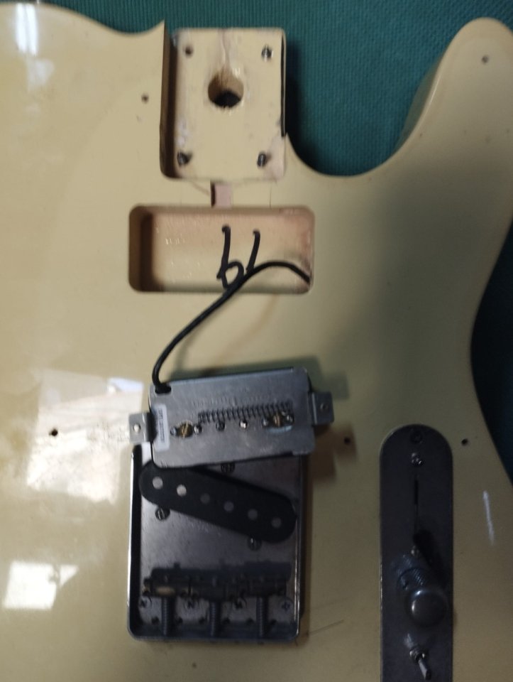 Cuerpo Telecaster Canadiense + pastillas + puente + potes