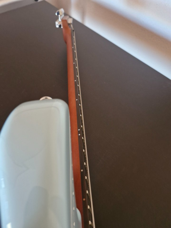 Schecter Nick Johnston Vegatrem