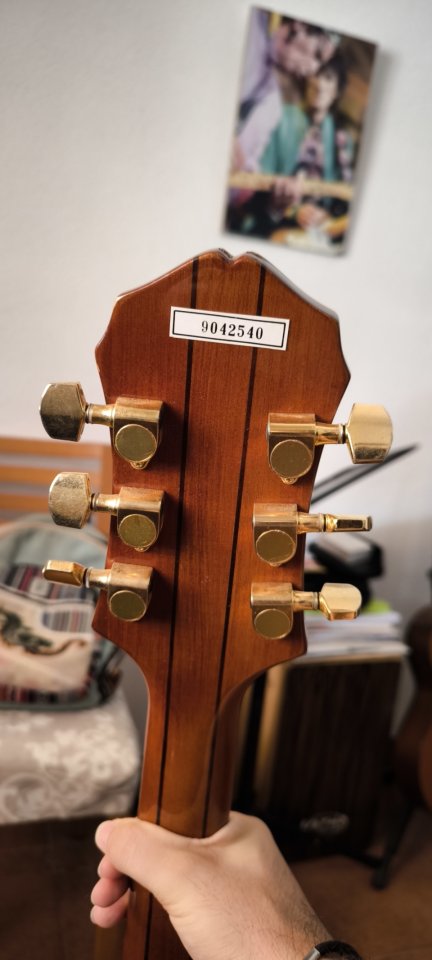 Epiphone Sheraton II '89 de segunda mano · Foto 4 de 5 · Murcia · 790 €