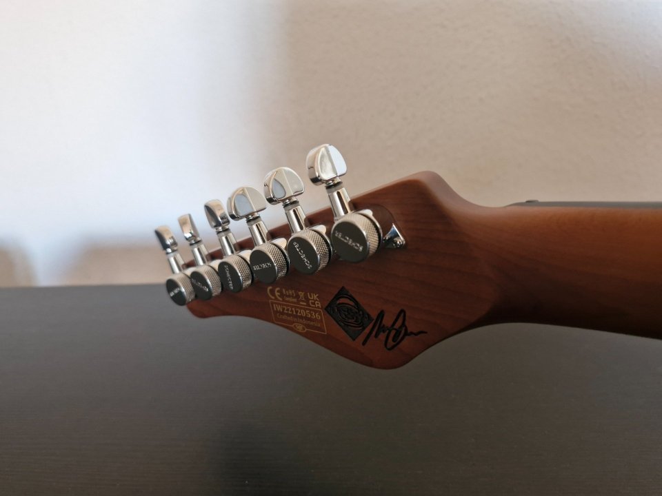 Schecter Nick Johnston Vegatrem