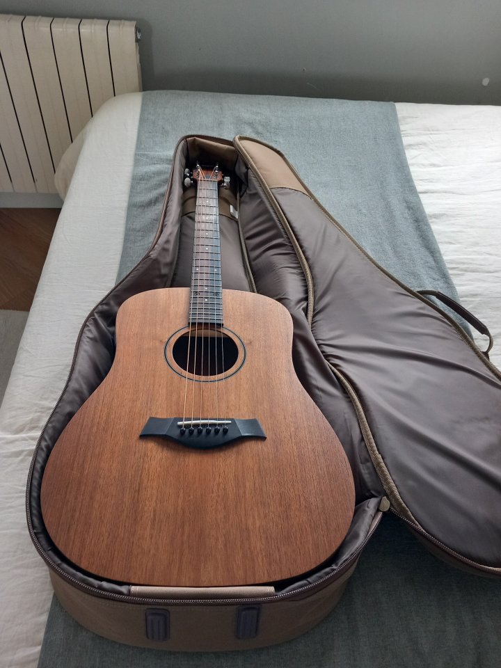 Taylor BBTE walnut electroacustica
