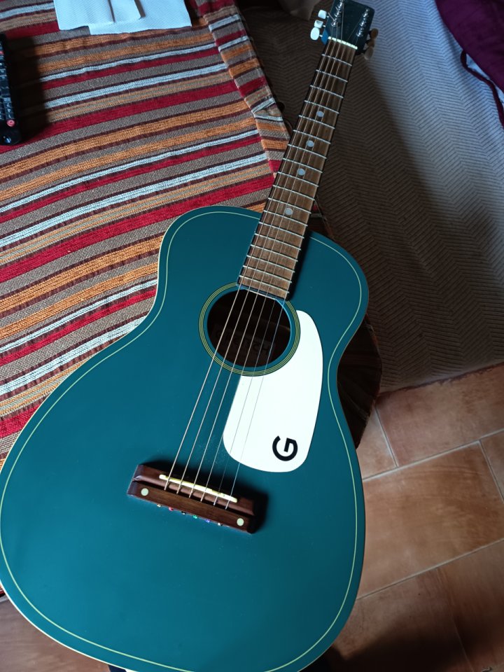 Vendo o cambio por guitarra eléctrica