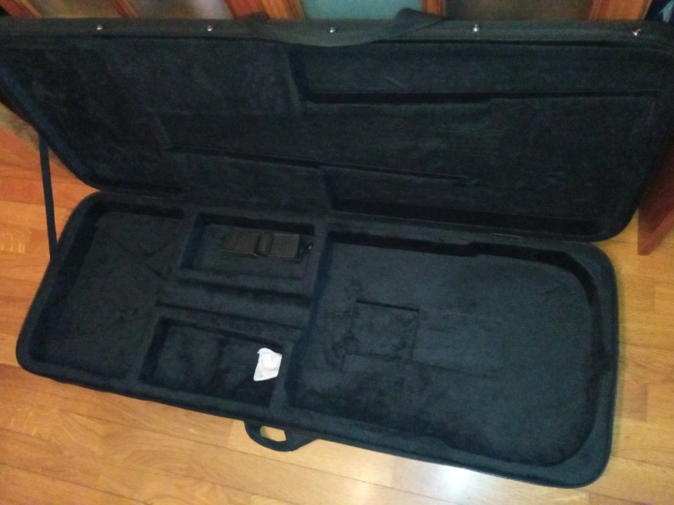 Funda semirrígida Tele/Strat etc... de segunda mano · Foto 1 de 4 · Pontevedra · 25 €