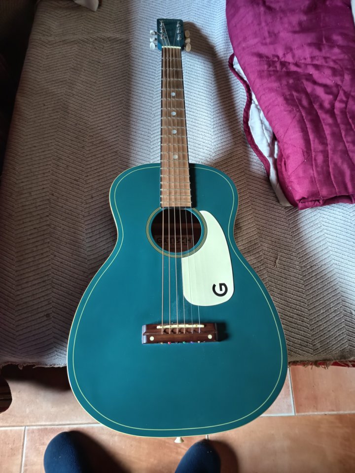 Vendo o cambio por guitarra eléctrica