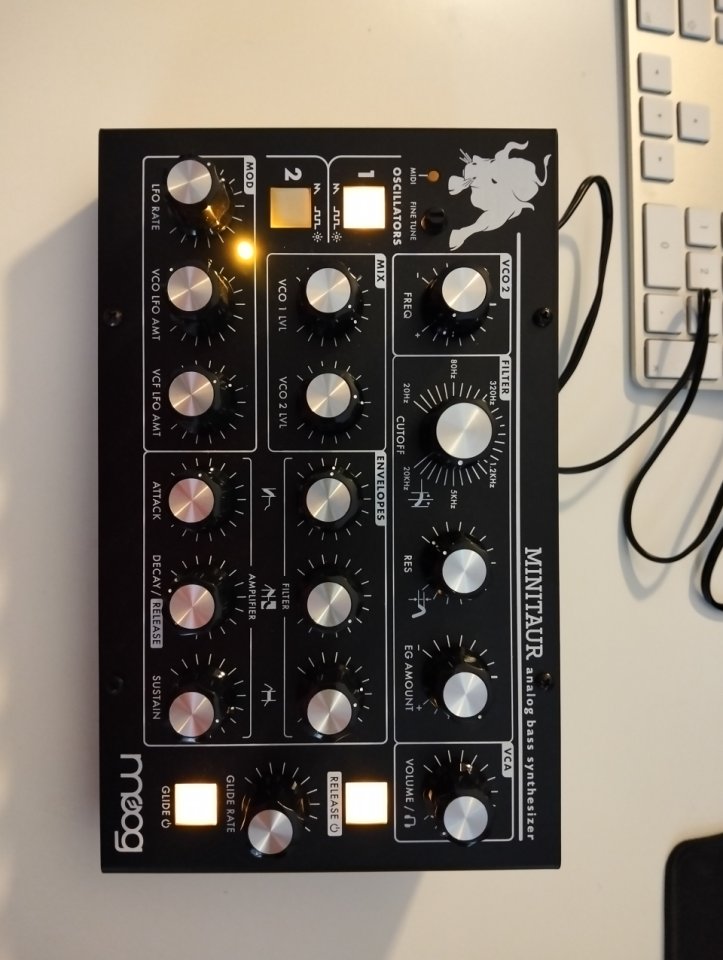 Moog Minitaur - Acilab Bassline 2
