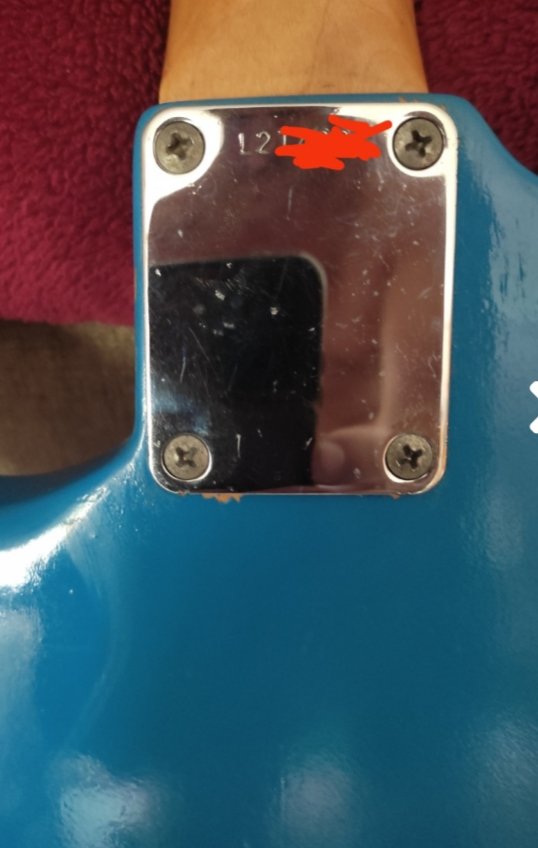 Fender Musicmaster 1964 Serie L