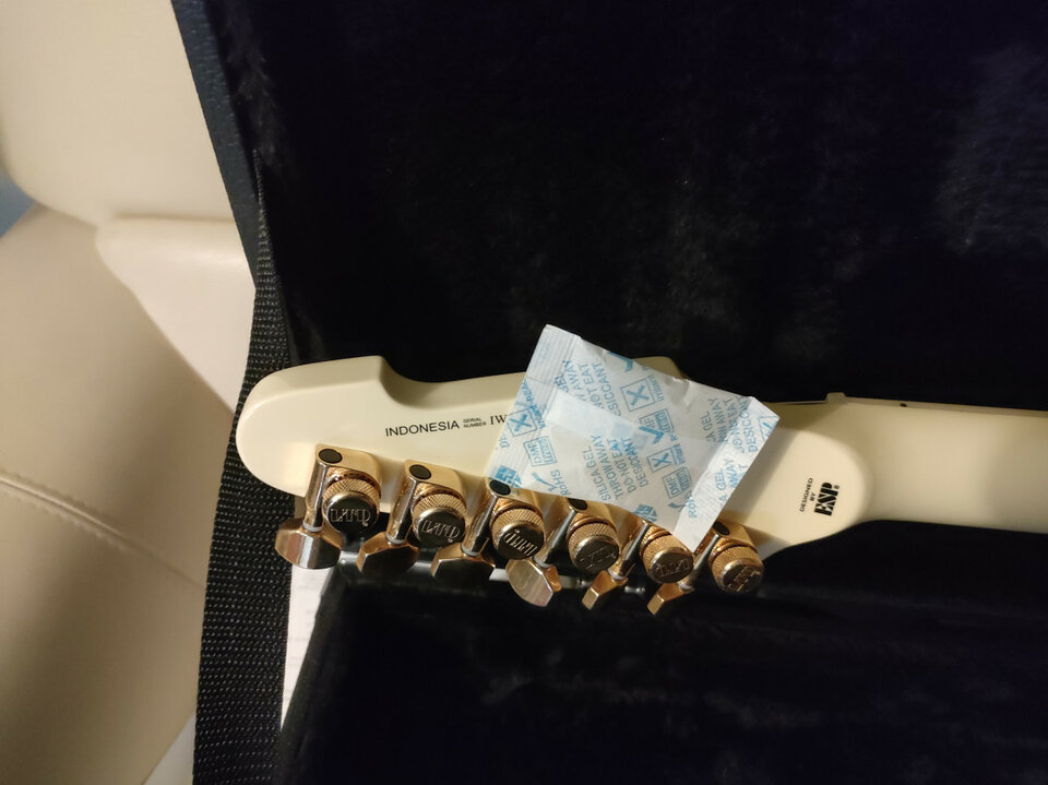 Esp Ltd Phoenix Vintage White