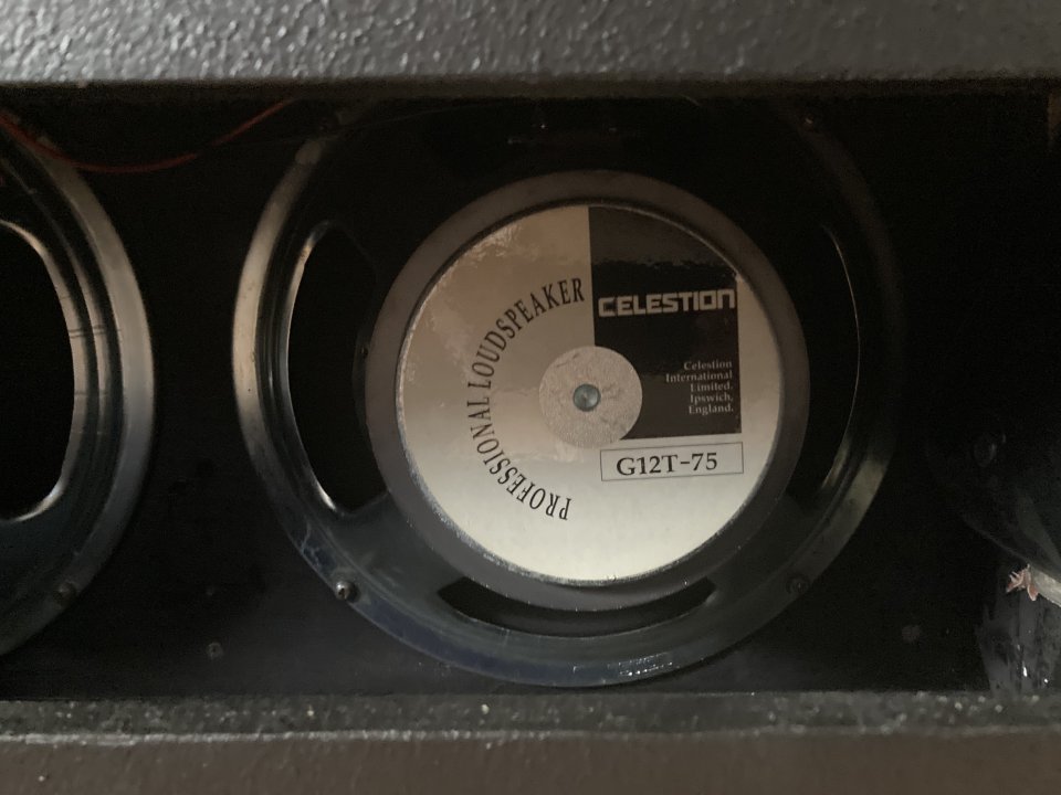 2 altavoces Celestion G12T-75 de 16 ohmios de segunda mano · Foto 2 de 4 · Huelva