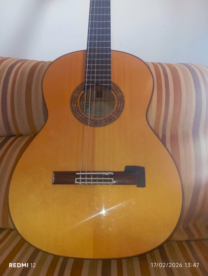 Antonio Bernal guitarra