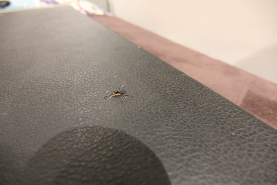 Estuche / Funda Ibanez JEM Original. Interior Rojo