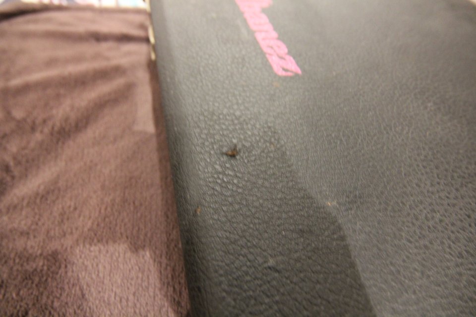 Estuche / Funda Ibanez JEM Original. Interior Rojo