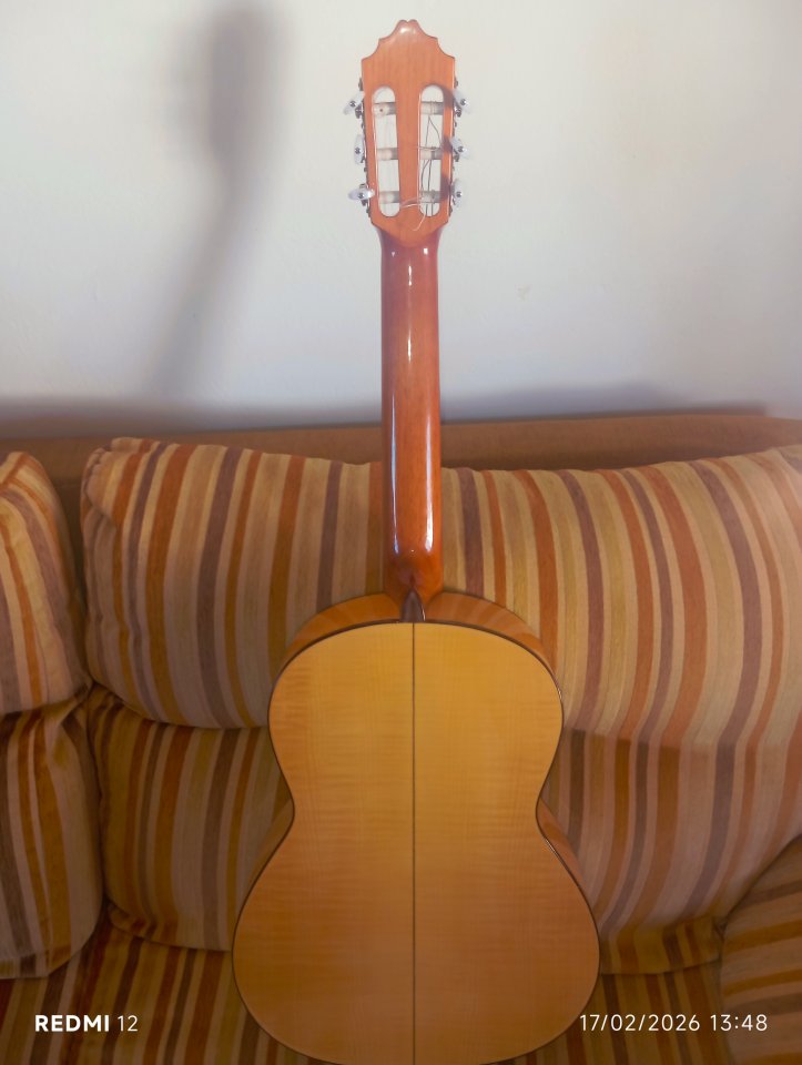 Antonio Bernal guitarra