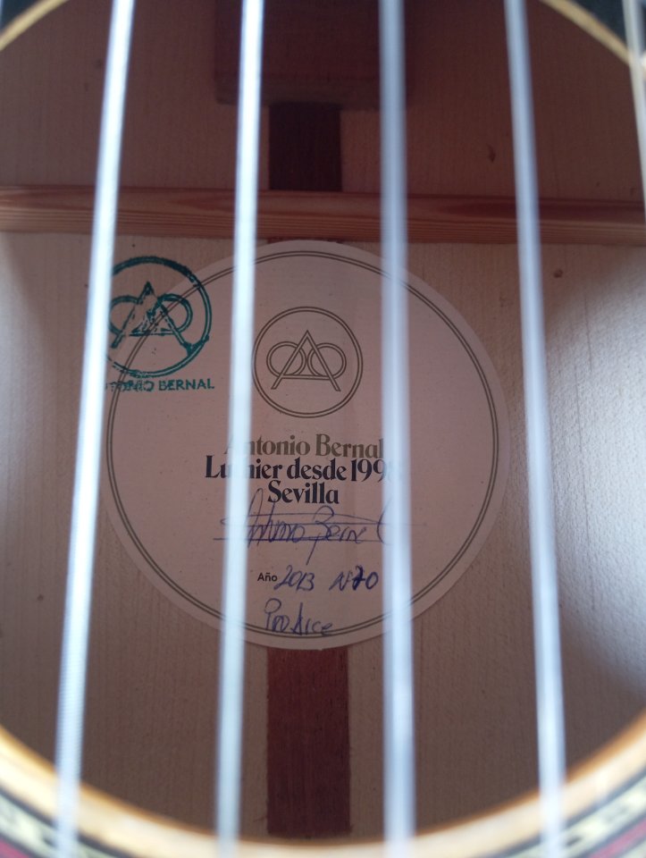 Antonio Bernal guitarra