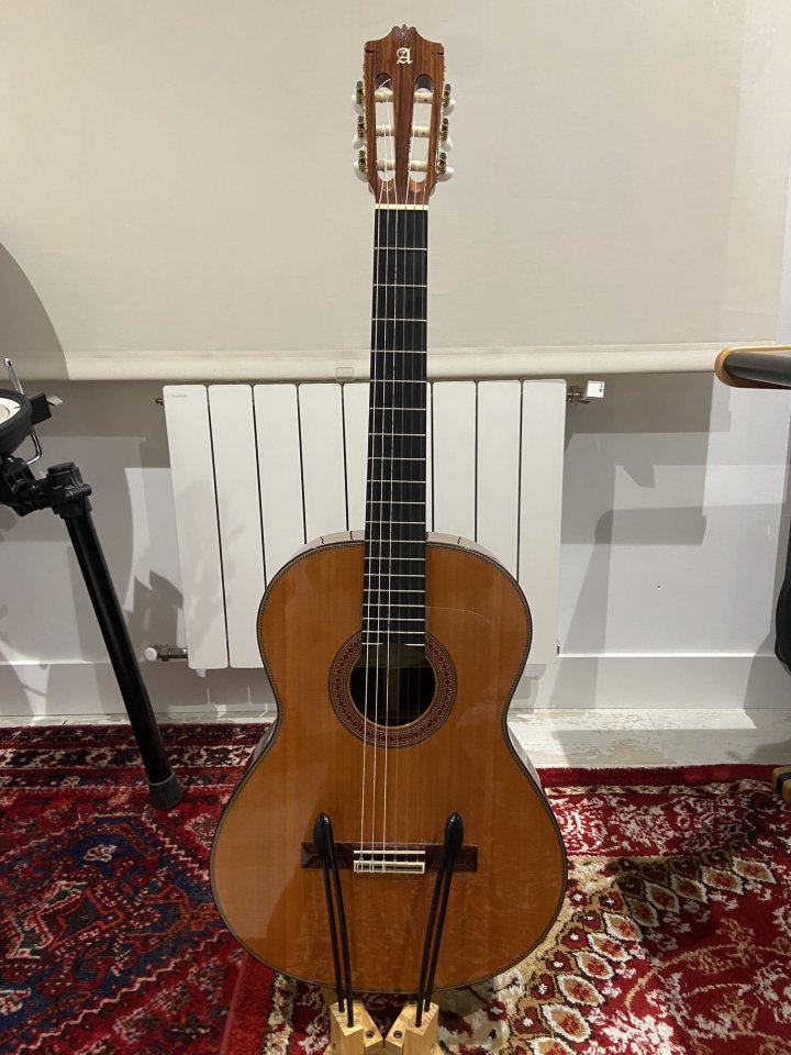 Guitarra Alhambra 7P Classic + Funda Ortolá