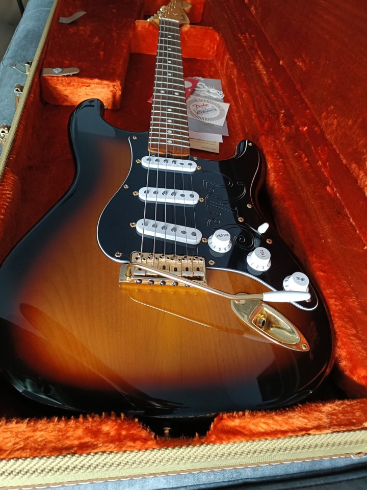 Vendo Fender Stratocaster Srv Signature