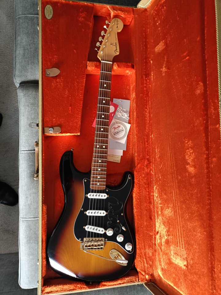Vendo Fender Stratocaster Srv Signature