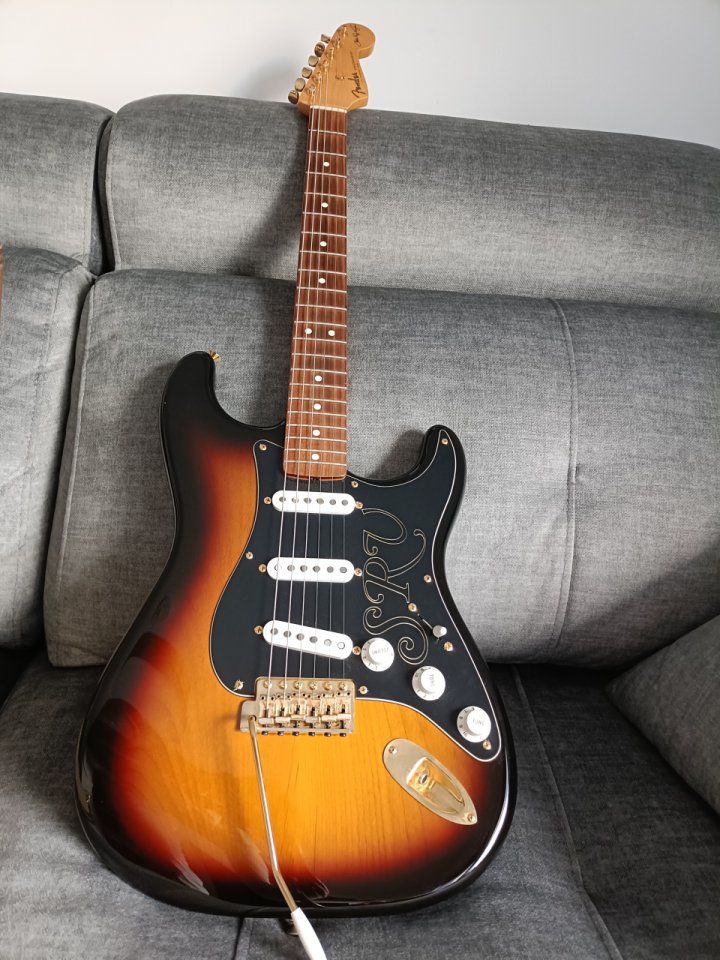 Vendo Fender Stratocaster Srv Signature