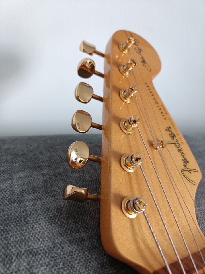 Vendo Fender Stratocaster Srv Signature
