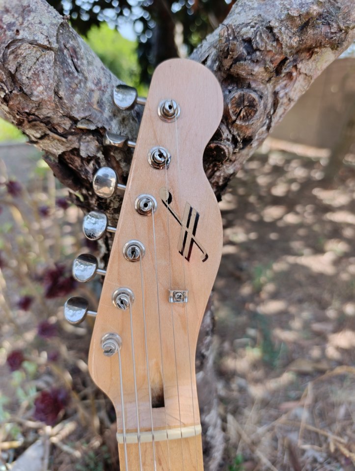 Tele de luthier de segunda mano · Foto 4 de 10 · Barcelona · 1500 €