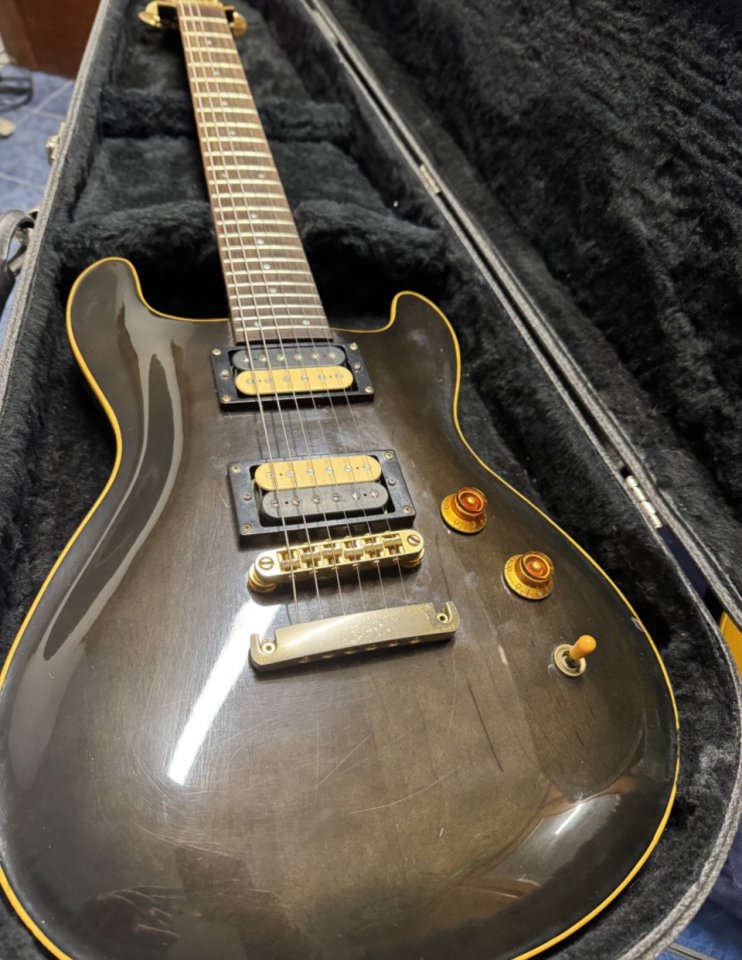 Fernandes APG 100 Premium MIJ