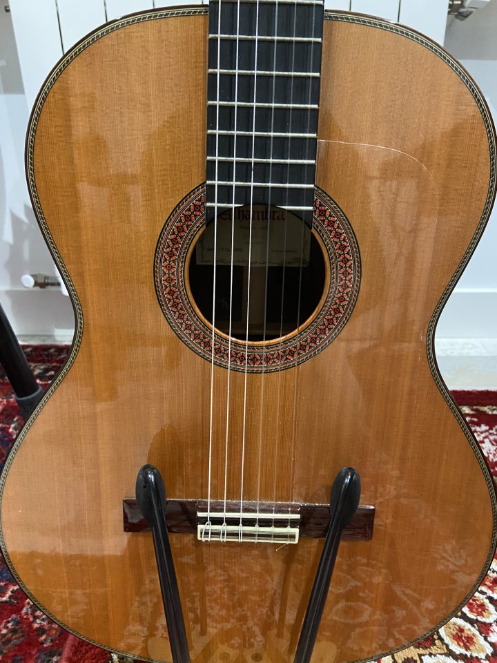 Guitarra Alhambra 7P Classic + Funda Ortolá