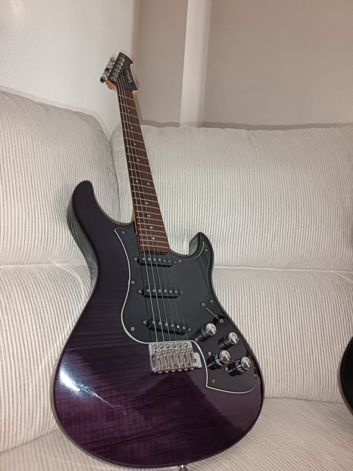 Line 6 Variax Standard Limited Edition