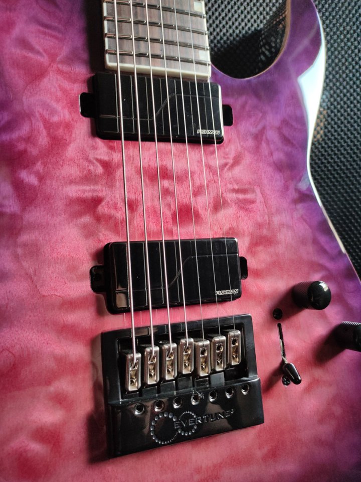 LTD M-1007B Cramberry Burst (edición limitada Evertune) de segunda mano · Foto 3 de 8 · Bizkaia · 1850 €