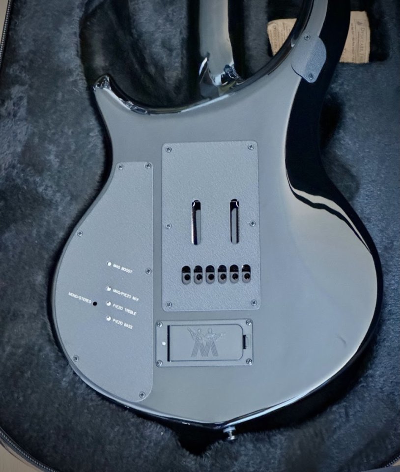 EB Music Man Majesty 6 DS 2025