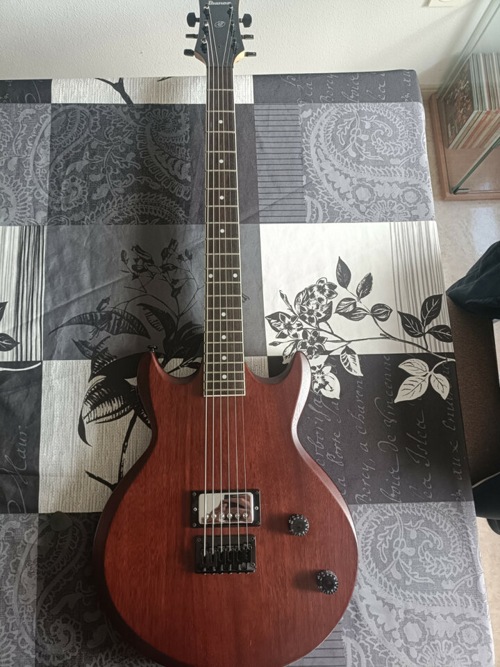 Guitarra Ibanez AX110XL