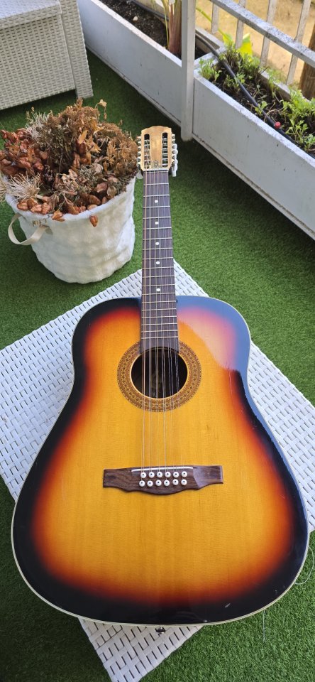 12 cuerdas guitarra Acústica