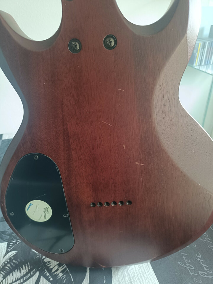 Guitarra Ibanez AX110XL