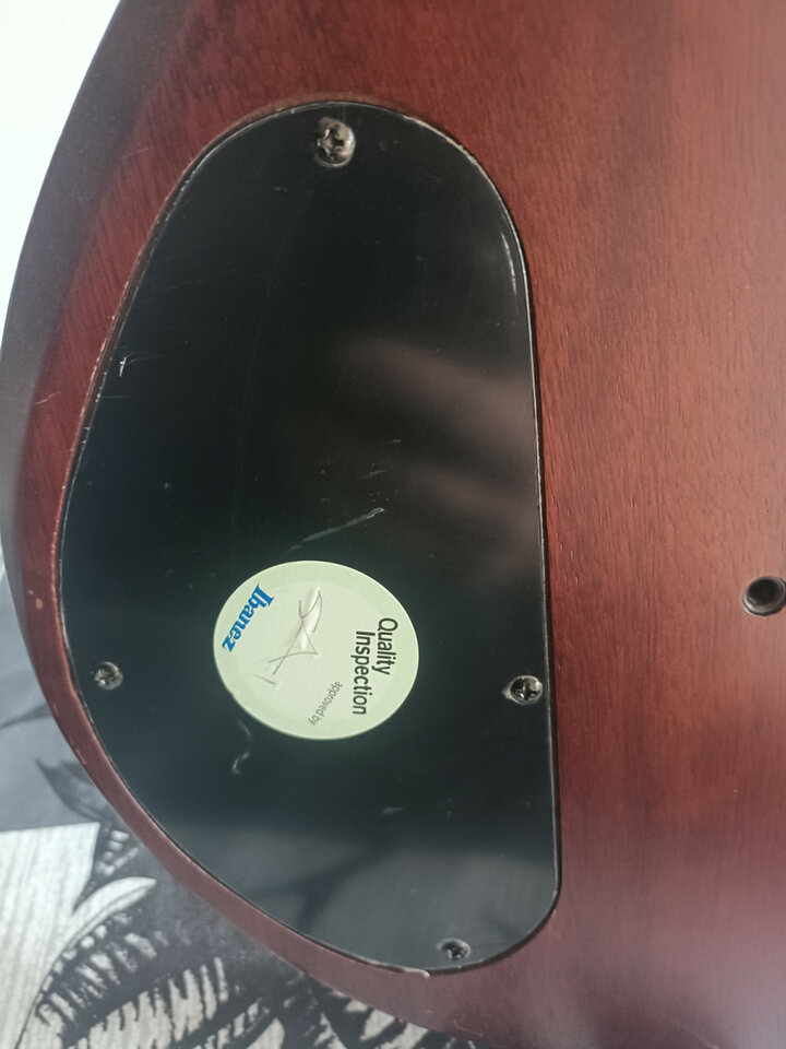 Guitarra Ibanez AX110XL