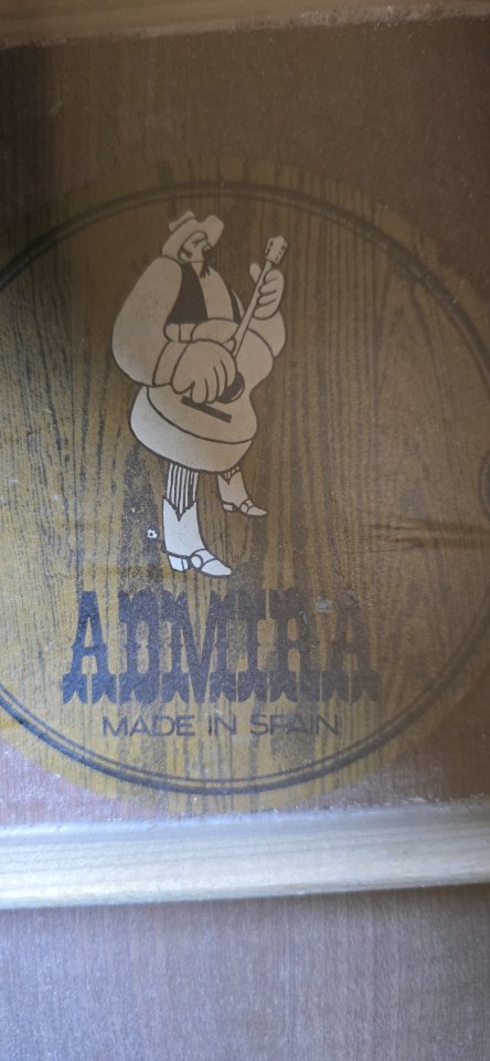 12 cuerdas guitarra Acústica