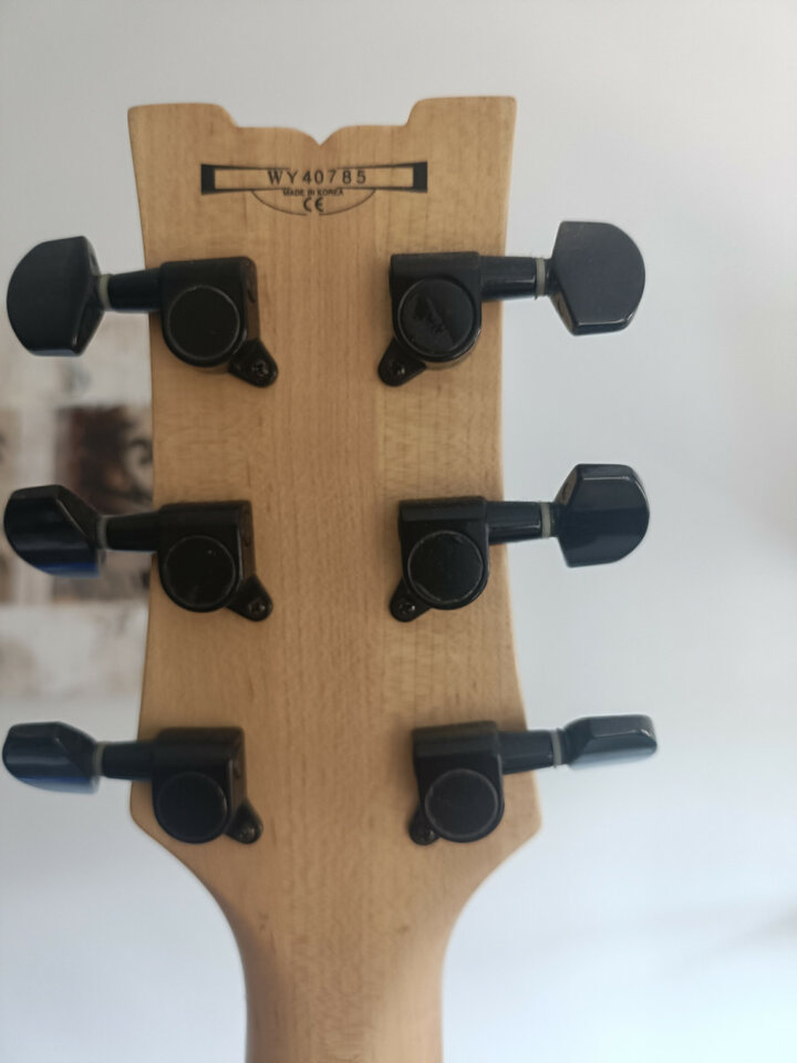 Guitarra Ibanez AX110XL